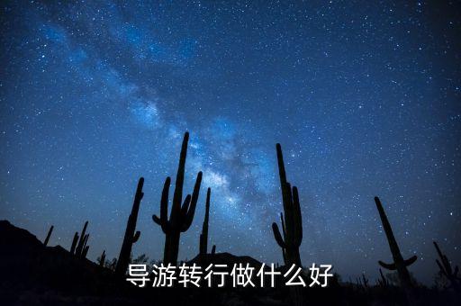 導游轉行做什么好，導游轉行做什么好