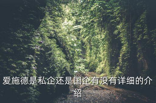 愛施德是私企還是國(guó)企有沒有詳細(xì)的介紹