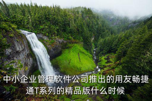 中小企業管理軟件公司推出的用友暢捷通T系列的精品版什么時候