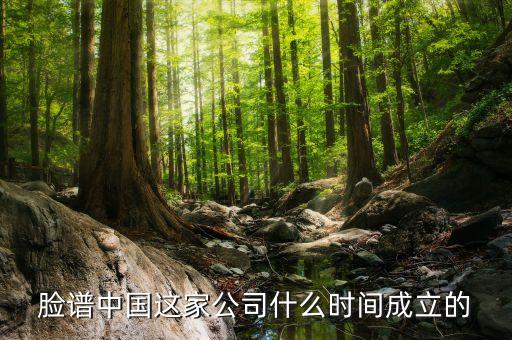 旺旺貸什么時候成立的，阿里旺旺是什么時候開發的