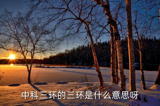 中科三環的三環是什么意思呀