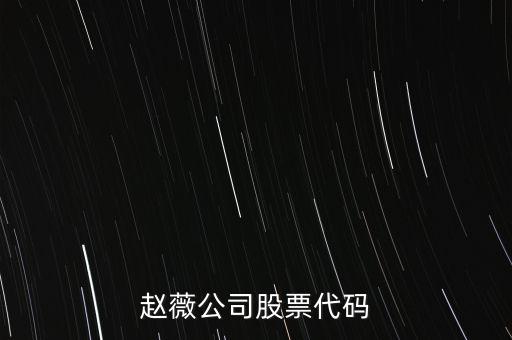 趙薇買的什么股票代碼，范冰冰 趙薇 股票5億買的什么股票