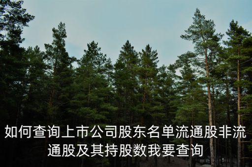如何查詢上市公司股東名單流通股非流通股及其持股數我要查詢
