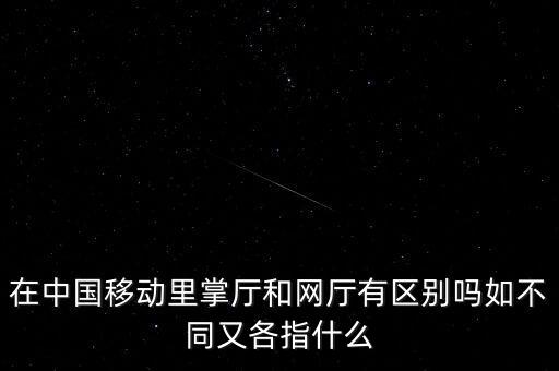 流量掌廳是什么，流量掌廳的流量優惠每天一元每月500m是什么意思