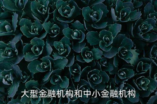 什么是中小金融機構，大型金融機構和中小金融機構