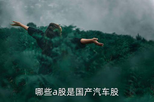 國什么汽車股票代碼是6多少，哪些a股是國產汽車股