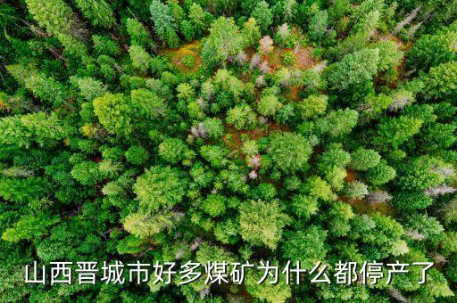 為什么礦山現在停產，為什么現在的礦業幾乎全部停產