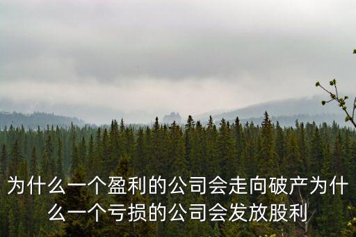 為什么一個盈利的公司會走向破產為什么一個虧損的公司會發放股利