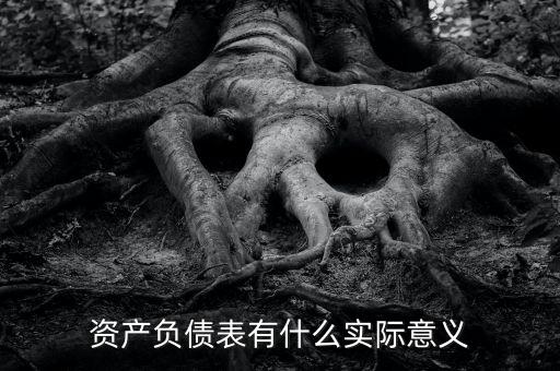 資產負債表有什么實際意義