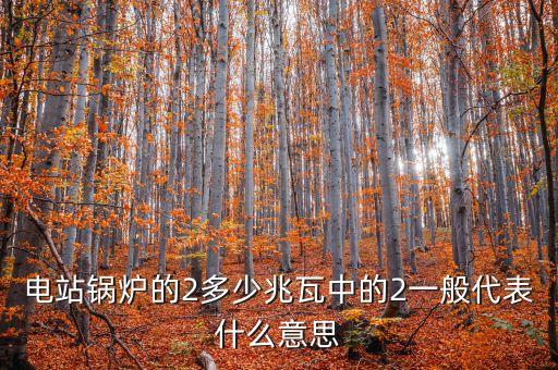 電站兆瓦什么意思，兆瓦是哪一個(gè)物理量的單位發(fā)電能力達(dá)45兆瓦說明什么意思