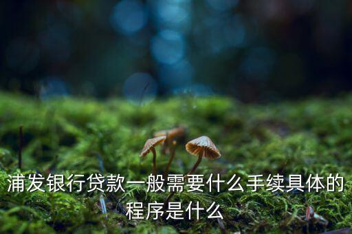 浦發銀行網貸通要什么條件，TB支持浦發  浦發開通網銀要什么條件比如要帶點什么的