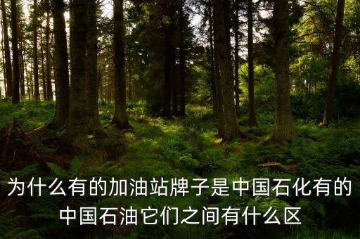 為什么中石化和中石油不，中石油中石化中海油為什么不合并