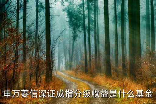 001493是什么基金，安碩富時(shí)中國25指數(shù)基金 是什么