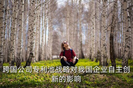 北京君正是什么公司，跨國公司專利池戰略對我國企業自主創新的影響