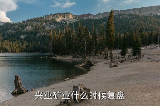 興業礦業什么時候復盤