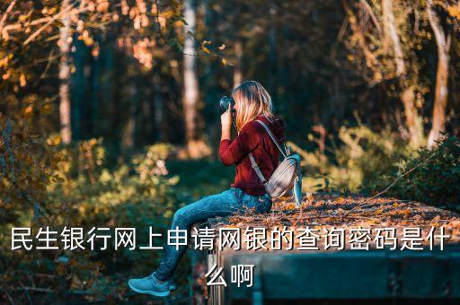 民生銀行查詢密碼是什么，民生銀行網上申請網銀的查詢密碼是什么啊