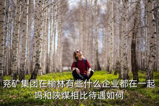 兗州煤業公司經營什么，兗礦集團在榆林有些什么企業都在一起嗎和陜煤相比待遇如何