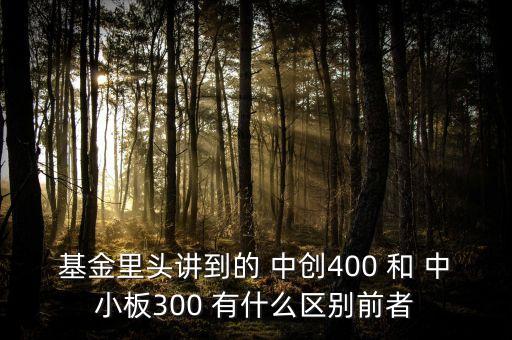 基金里頭講到的 中創400 和 中小板300 有什么區別前者