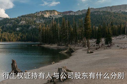 衍生權證是什么，衍生權證持有人與公司股東有什么分別