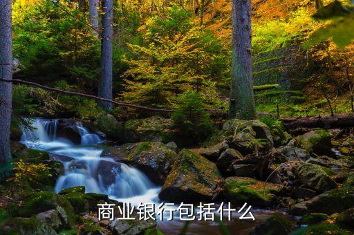 雨果獎是什么，商業銀行包括什么