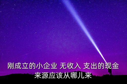 小企業主為什么沒現金，剛成立的小企業 無收入 支出的現金來源應該從哪兒來