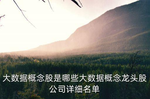 大數據概念股是哪些大數據概念龍頭股公司詳細名單