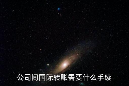 公司間國際轉賬需要什么手續