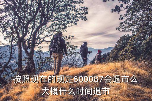 600087什么時候到3版，按照現在的規定600087會退市么大概什么時間退市