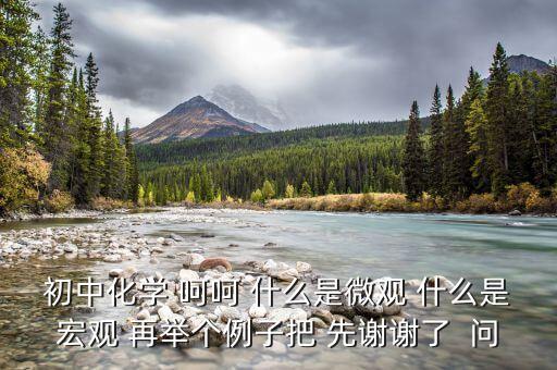什么是宏觀事實，初中化學 呵呵 什么是微觀 什么是宏觀 再舉個例子把 先謝謝了  問