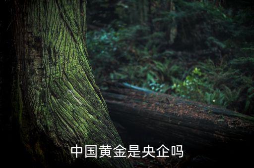 中國黃金為什么是央企品牌，中國黃金在各城市的店鋪是中國黃金直營的還是加盟的如果是直營