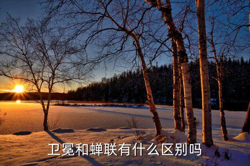 衛冕和蟬聯有什么區別嗎