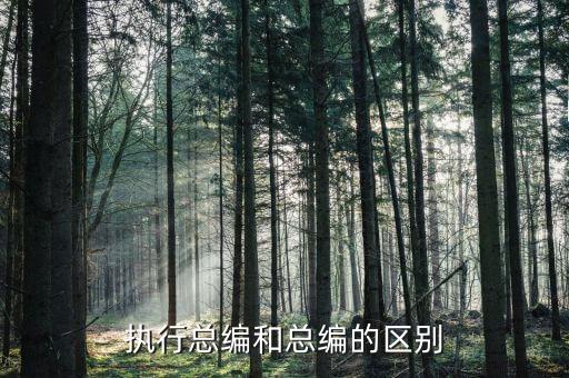 執行總編和總編的區別
