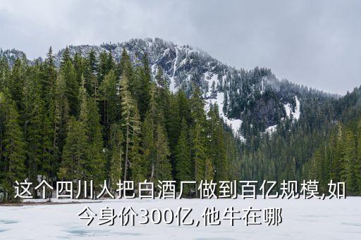 這個四川人把白酒廠做到百億規模,如今身價300億,他牛在哪