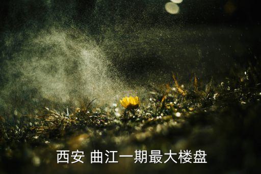 西安曲江華平置業有限公司