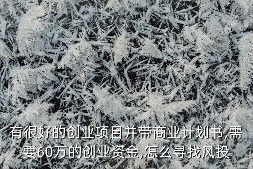 有很好的創業項目并帶商業計劃書,需要60萬的創業資金,怎么尋找風投