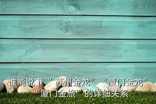 創元集團蘇州老總,蘇州創元投資發展(集團)有限公司