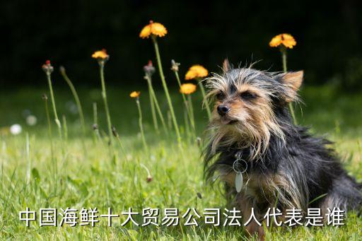 中國海鮮十大貿易公司法人代表是誰
