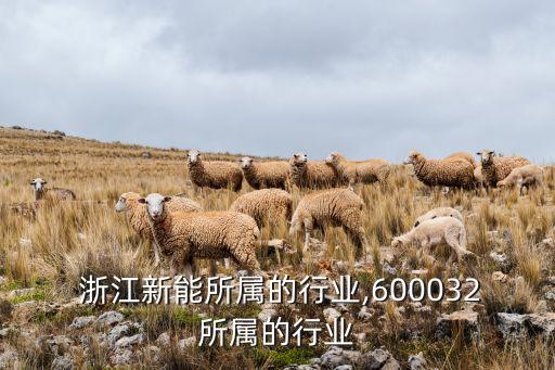  浙江新能所屬的行業,600032所屬的行業