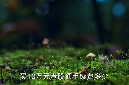 買10萬元港股通手續費多少