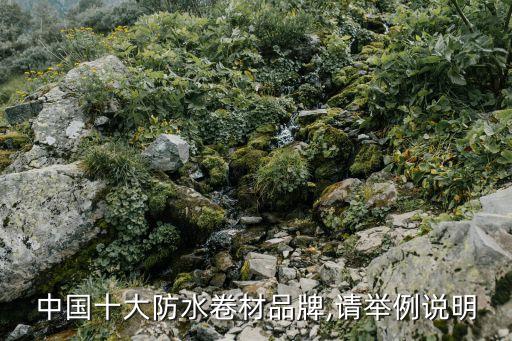 中國(guó)十大防水卷材品牌,請(qǐng)舉例說明