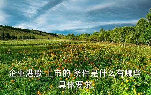 企業港股 上市的 條件是什么有哪些具體要求