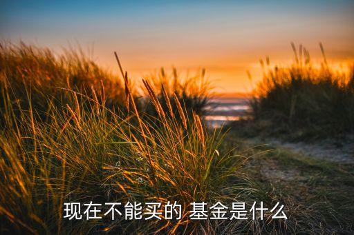 現在不能買的 基金是什么