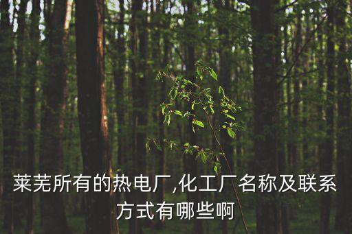 山東匯金新材料有限公司,中城匯金實業投資(山東)有限公司