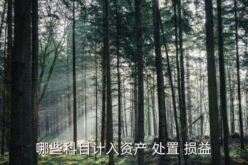 子公司處置損益,非流動資產處置損益