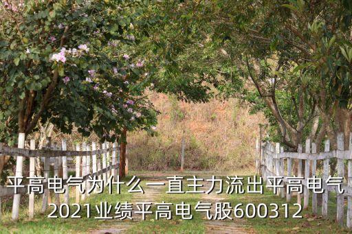 平高電氣為什么一直主力流出平高電氣2021業績平高電氣股600312