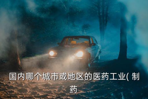 國內哪個城市或地區的醫藥工業( 制藥