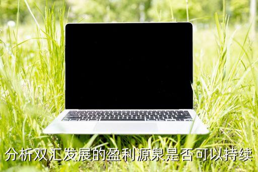 分析雙匯發展的盈利源泉是否可以持續