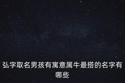 竣弘投資,弘酬投資正規嗎