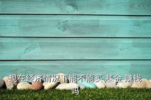 現在經濟情況下能不能買 基金 賺錢嗎