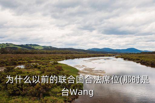 中國哪些領(lǐng)導人參加聯(lián)大